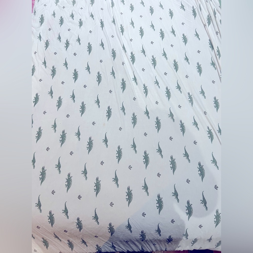 Kyte dino toddler blanket